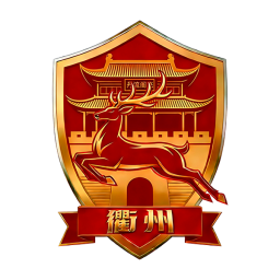 丽水队