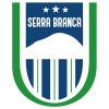 蜥蜴队