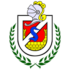 智利大学